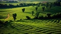 AI-generated illustration of an idyllic green, grassy field surrounded by trees