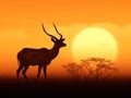 Antelope Silhouette