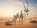 Arabian oryx