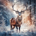 Deer With Large Branched Horns On The Background Of Beautiful Stag Artistic View