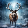 Deer With Large Branched Horns On The Background Of Beautiful Stag Artistic View