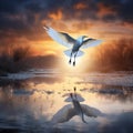 Egret Flying on Blue Evening