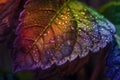 AI generated illustration of a iridescent leaf covered with water droplets Royalty Free Stock Photo