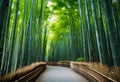 AI generated illustration of Kyoto's bamboo, surrounded by vibrant green foliage
