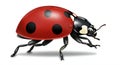 AI-generated illustration of a ladybug (Coccinellidae) with a vivid Royalty Free Stock Photo