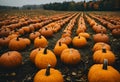 AI generated illustration of a large field filled with orange pumpkins near a forest side walk