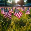 AI generated illustration of A large group of United States flags are arranged in a field of grass Royalty Free Stock Photo