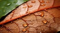 AI generated illustration of a leaf covered with water droplets Royalty Free Stock Photo