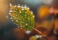 AI generated illustration of a leaf covered in water droplets with surrounding leaves Royalty Free Stock Photo