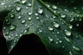 AI generated illustration of a leaf featuring water droplets against a dark background Royalty Free Stock Photo