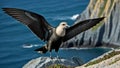 AI generated illustration of a long-tailed Skua (Stercorarius longicaudus) on a rocky outcrop