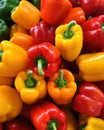 AI generated illustration of lots of colorful peppers