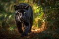 AI generated illustration of a majestic black panther strolling through a lush green forest