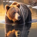 AI generated illustration of a majestic brown bear standing in the shallow waters of a riverbank