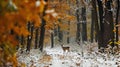 the deer is walking on a snowy day in the woods