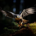 AI generated illustration of a majestic falcon flying over a moss-covered ground