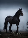 a large horse in a field on a dark cloudy day