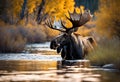 a moose stands in water with trees behind it and leaves in the background Royalty Free Stock Photo