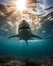 AI generated illustration of a majestic white shark swimming serenely in a sun-drenched ocean