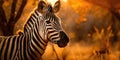 AI generated illustration of a majestic zebra in a grassy landscape, framed by trees on a sunny day