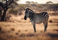 AI-generated illustration of A majestic zebra stands in the vast grasslands of a savanna