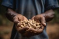AI generated illustration of a man holding a handful of peanuts in his hands Royalty Free Stock Photo