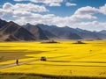 AI generated illustration of a man walking through a vibrant yellow canola field