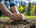 man in gloves holds up a young tree planted through the soil