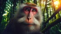 Monkey in the forest, Realistic AI generated illustration Macaca fuscata
