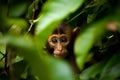 AI generated illustration of a monkey in the shadows of a small bush