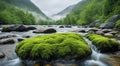 a stream with mossy rocks and water Royalty Free Stock Photo