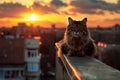 AI generated illustration of an orange cat lounging on a balcony at sunset Royalty Free Stock Photo