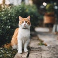 AI generated illustration of An orange tabby cat  next to a row of green shrubs and pots Royalty Free Stock Photo