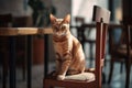 AI-generated illustration of an orange tabby cat sitting on a wooden chair.
