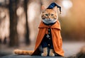 AI generated illustration of an orange wizard cat with mesmerizing blue eyes Royalty Free Stock Photo