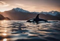 AI generated illustration of an Orcinus orca whale swims gracefully in the ocean at sunset Royalty Free Stock Photo