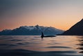 AI generated illustration of an Orcinus orca whale swims gracefully in the ocean at sunset Royalty Free Stock Photo