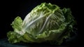 a bunch of lettuce on a black background