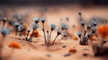 a couple of little blue flowers growing in the dirt on a sandy beach