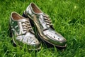 AI generated illustration of a pair of silver leather classic shoes on green grass