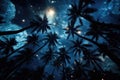 AI generated illustration of palm trees silhouetted against a starry sky