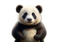 AI generated illustration of a panda bear posing against a white background Royalty Free Stock Photo