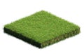 AI generated illustration of a patch of lush, bright green grass on a white background