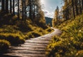 AI generated illustration of a pathway in a green forest on a sunny day Royalty Free Stock Photo