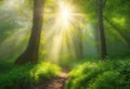 AI generated illustration of a pathway in a green forest on a sunny day Royalty Free Stock Photo