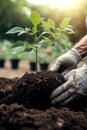 AI generated illustration of a person crouching down and planting a sapling in a large pile of dirt Royalty Free Stock Photo