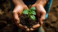 AI generated illustration of a person holding a green spring in soil in their hands Royalty Free Stock Photo