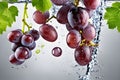 AI generated illustration of a pile of fresh grapes covered in water on a white background Royalty Free Stock Photo