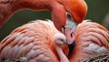 AI generated illustration of a pink flamingo feeding its cub