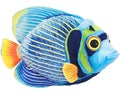 AI generated illustration of a plush toy fish with distinct blue and green stripes Royalty Free Stock Photo